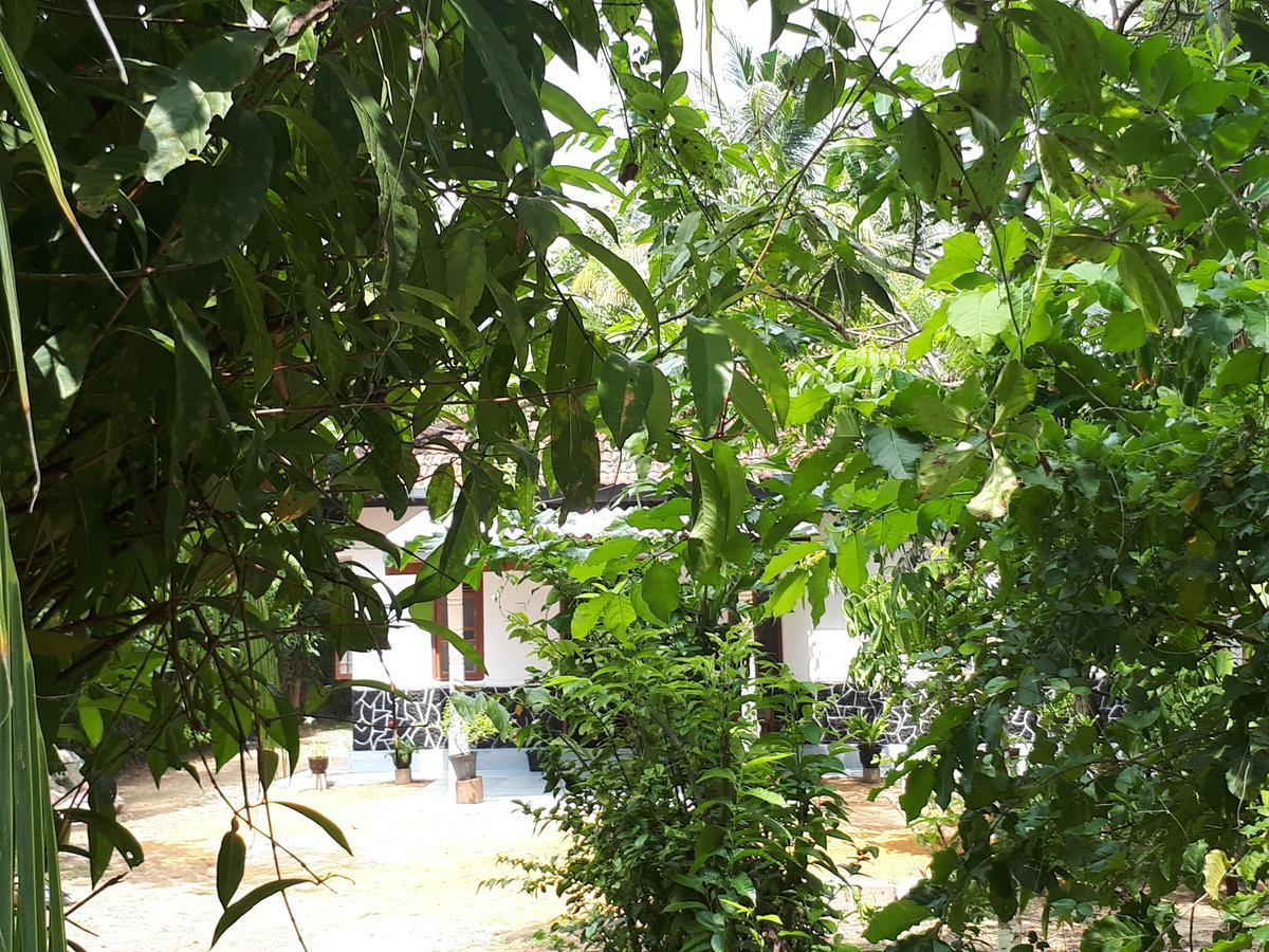 New Sam Tourist Inn Weligama Esterno foto