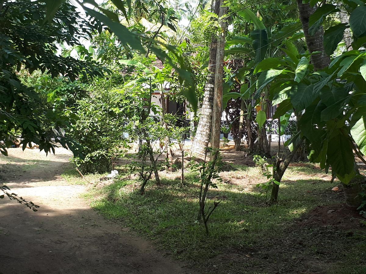 New Sam Tourist Inn Weligama Esterno foto